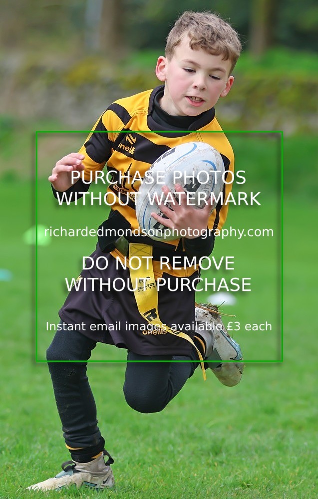 533A5000 - Kendal Rugby Under 7's (12/4/26)