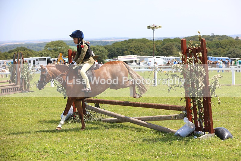JPP_2508 - Class 21: Working Hunter 60cm