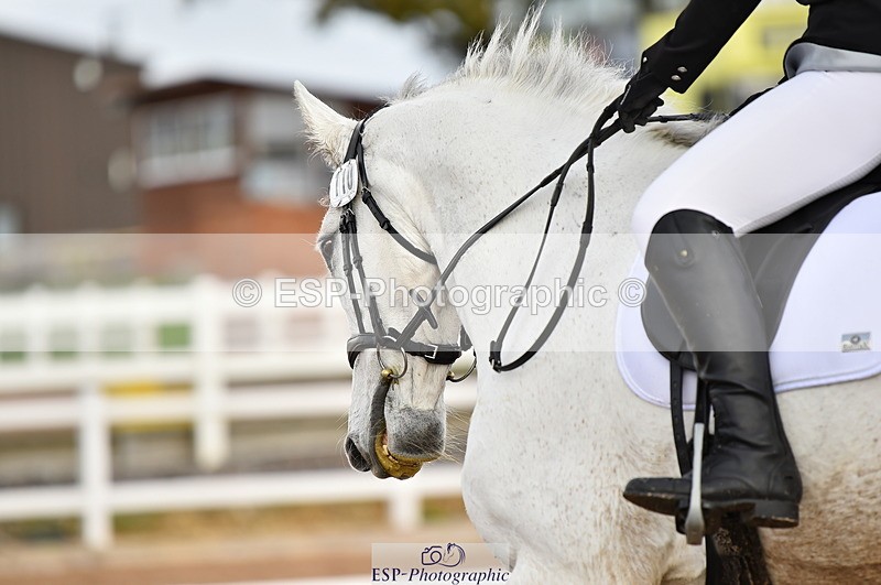 231104A-114658-01594 - Cls 5 Novice 37A