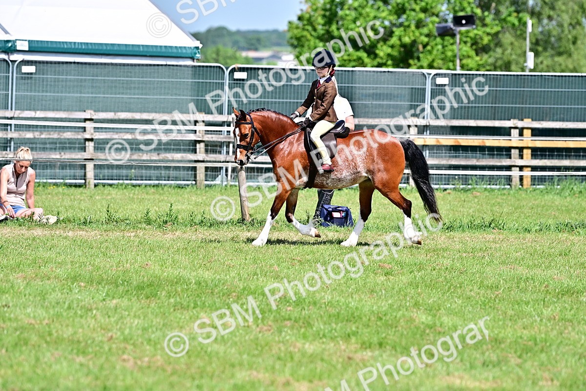 SBM_13913 - Class 95-97 - BSPS LHS Performance Ponies