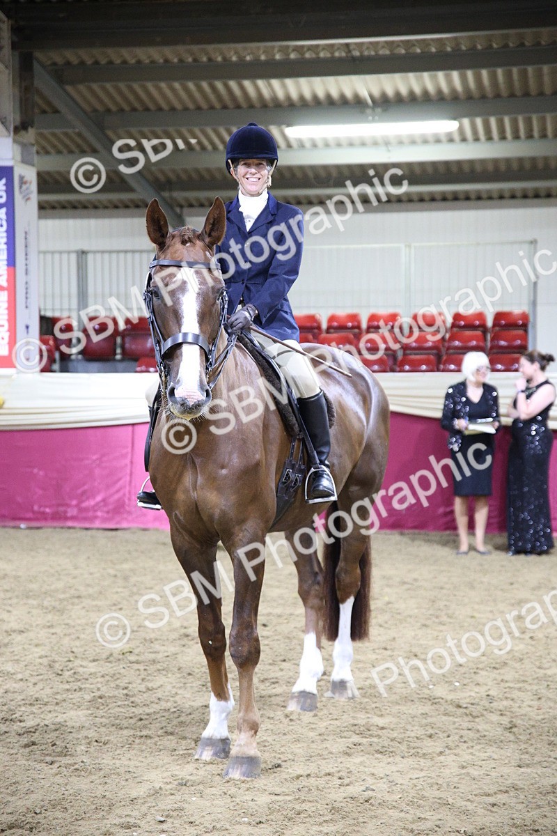 5K7A1560 - Class O Ridden Show Horse Champ