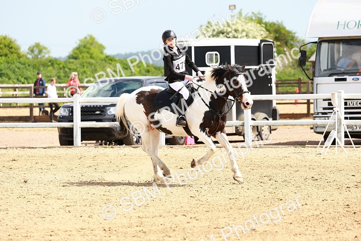 SBM_007995 - Class 3 - 60cm