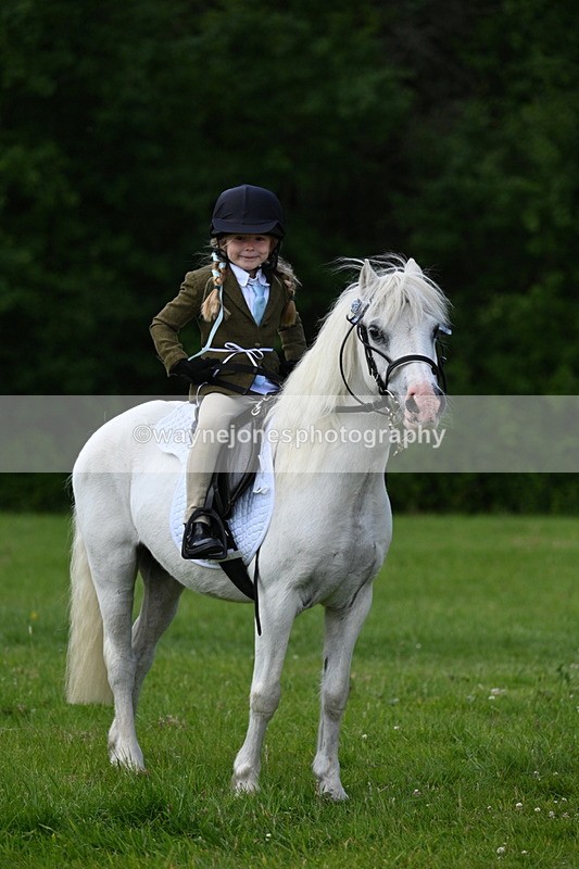 WJ7_1722 - Class 11 Condition & Turnout