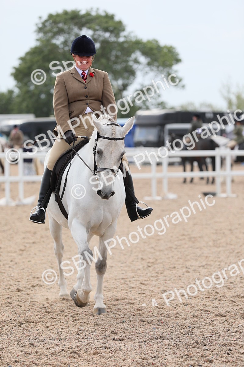 SBM_17000 - Class 314 Family Horse/Pony