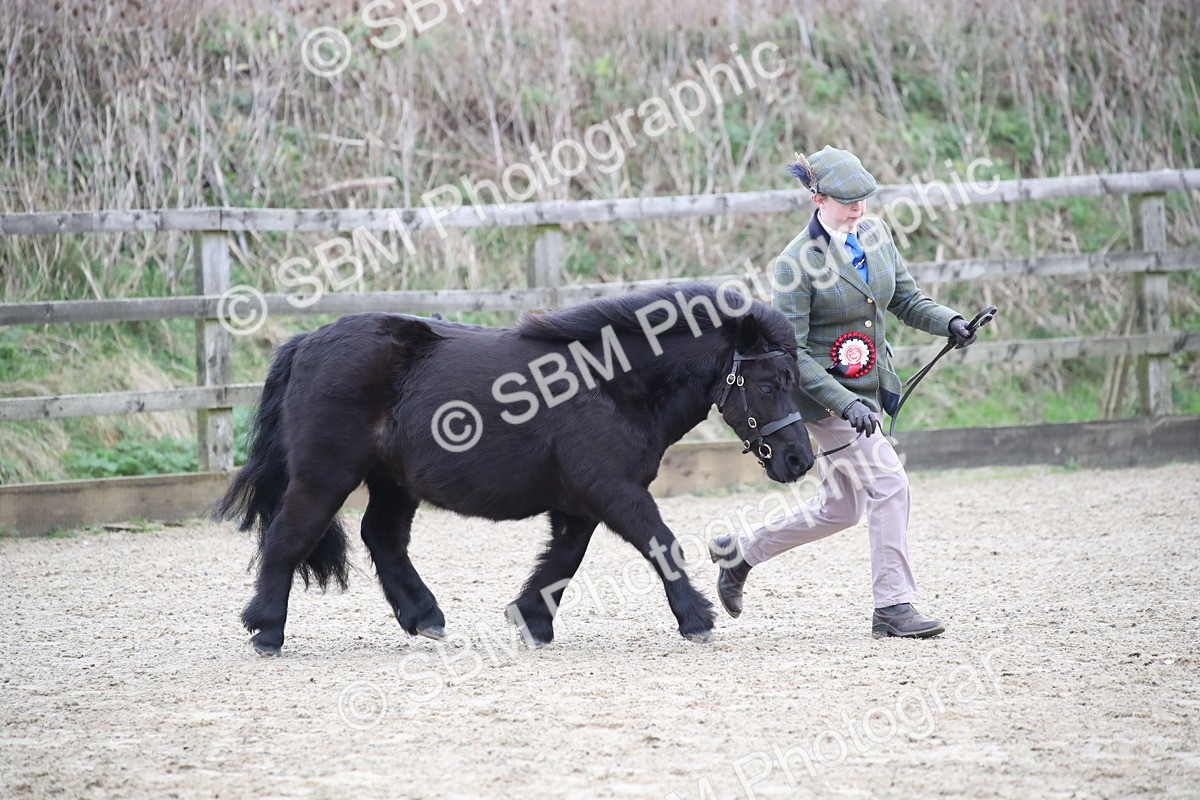 SBM_004073 - Class 1-4 - Young Stock classes Inc. In Hand Championship