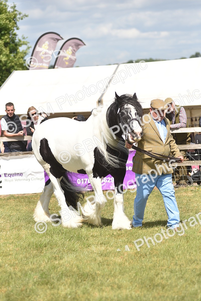 SBM_16095 - Class 117-122 - SSADL RIHS Qualifier