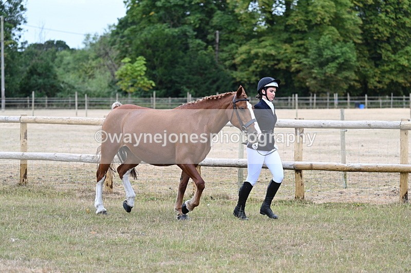 WJ7_8763 - Class 4a Prettiest Mare 14.2hh and over