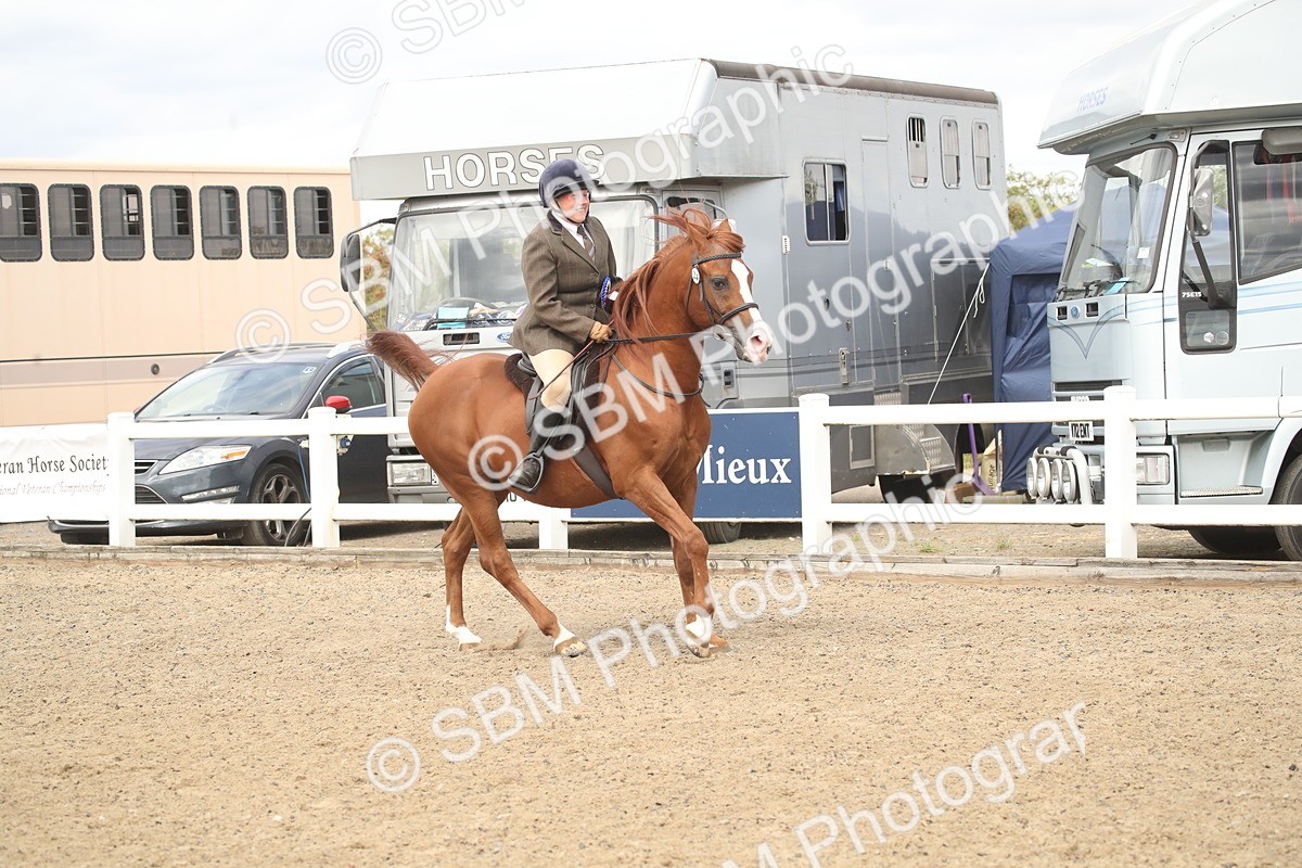 SBM_16580 - Class 506b - Working Veteran - 50cm (20+)