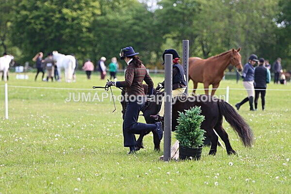 IMG_2144 - Working Hunter