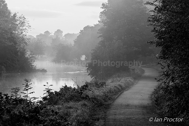 Misty Morning on Lagan Towpath B&W - Black & White