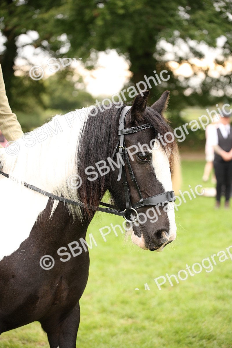SBM_73511 - S68 - Traditional Cob Ridden