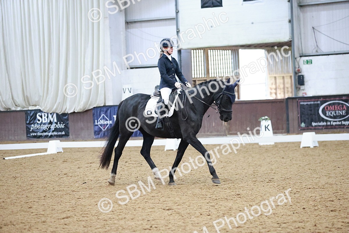 SBM_004695 - Ring 3 - International -  Working Hunter Classes 23-2-25