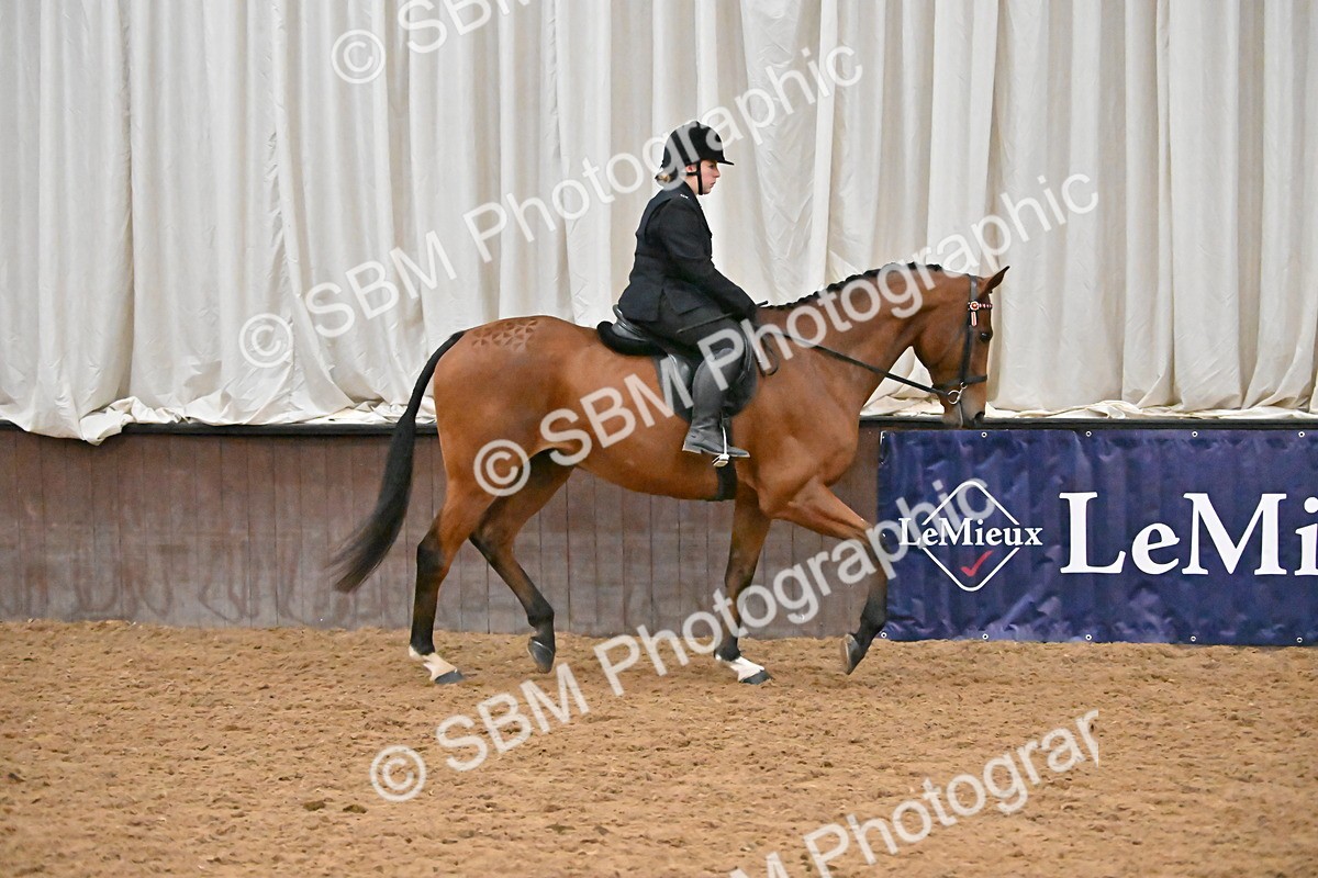 SBM_002994 - Class 37,38 - UKPSAF Performance Horse & Pony