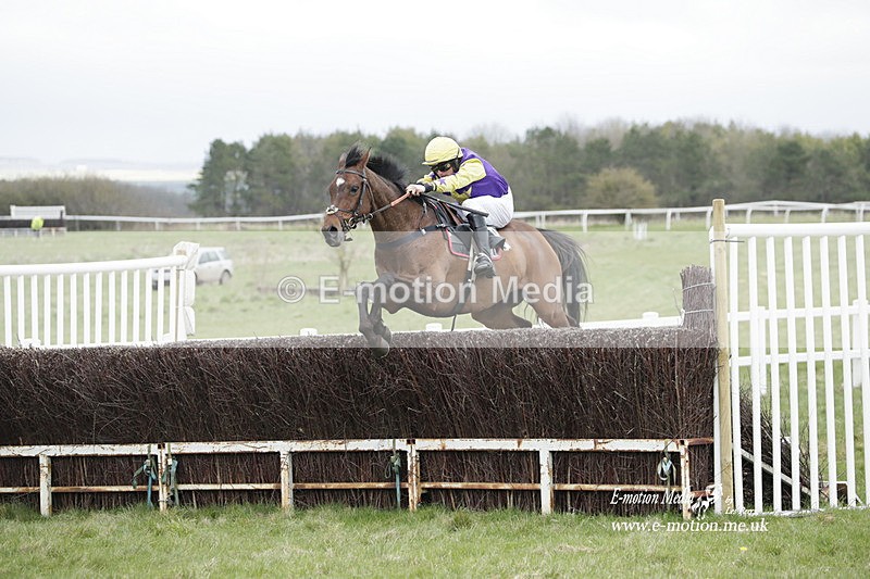PtP 260323 0849 - New Forest Hounds Point-to-Point Larkhill 26/03/23