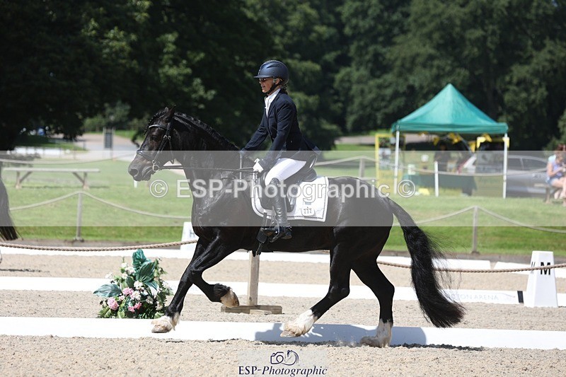 230811-121857-01035 - Cls 1 Prelim Bronze 11.10 to 12.35 break