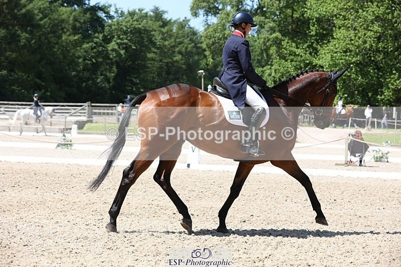 230526-121922-06201 - 160-SWHISKEY-Jeanette_Brakewell-WEDTrotUp+DR