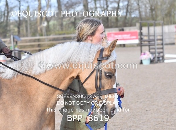 BPP_8619 - TRAINING STAKES