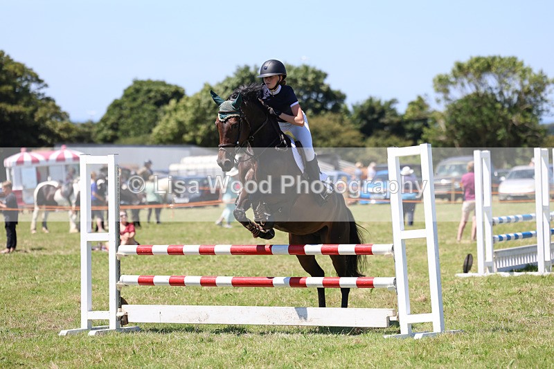 3E7A5527 - Class 9: Senior British Novice/90cm open