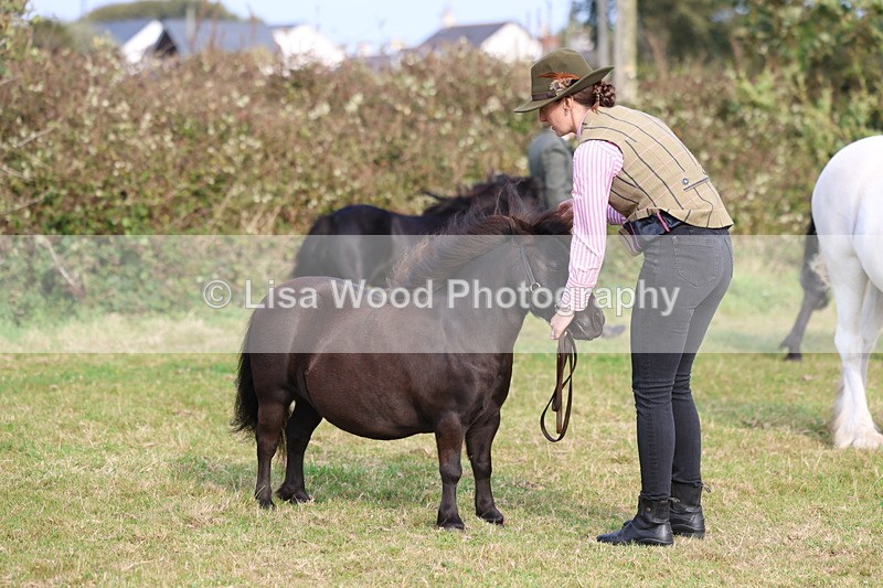 3E7A3220 - Class 12: M & M Small Breeds
