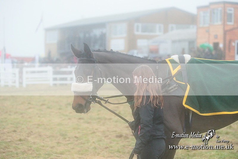 PtP 101223 587 - New Forest Hounds PtP Larkhill 10/12/23
