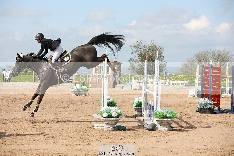 250427-111802-15917 - Cls 36 Young Horse 7yr old