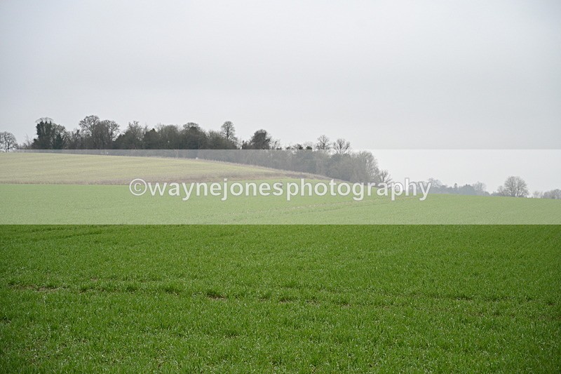 WJ7_9732 - Walk out..