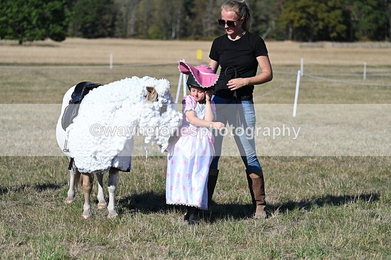 WJ7_2853 - Class 45 Fancy Dress (My Fav)