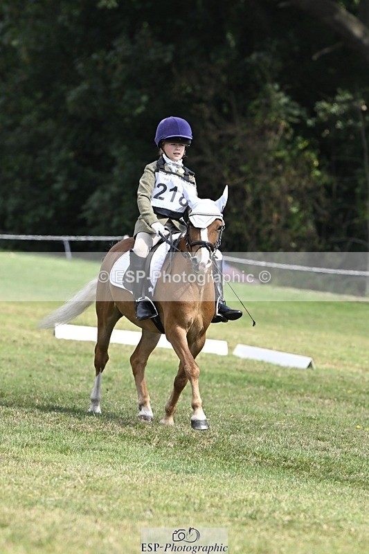 250822A-121748-22679 - DR 11.00 to 12.00