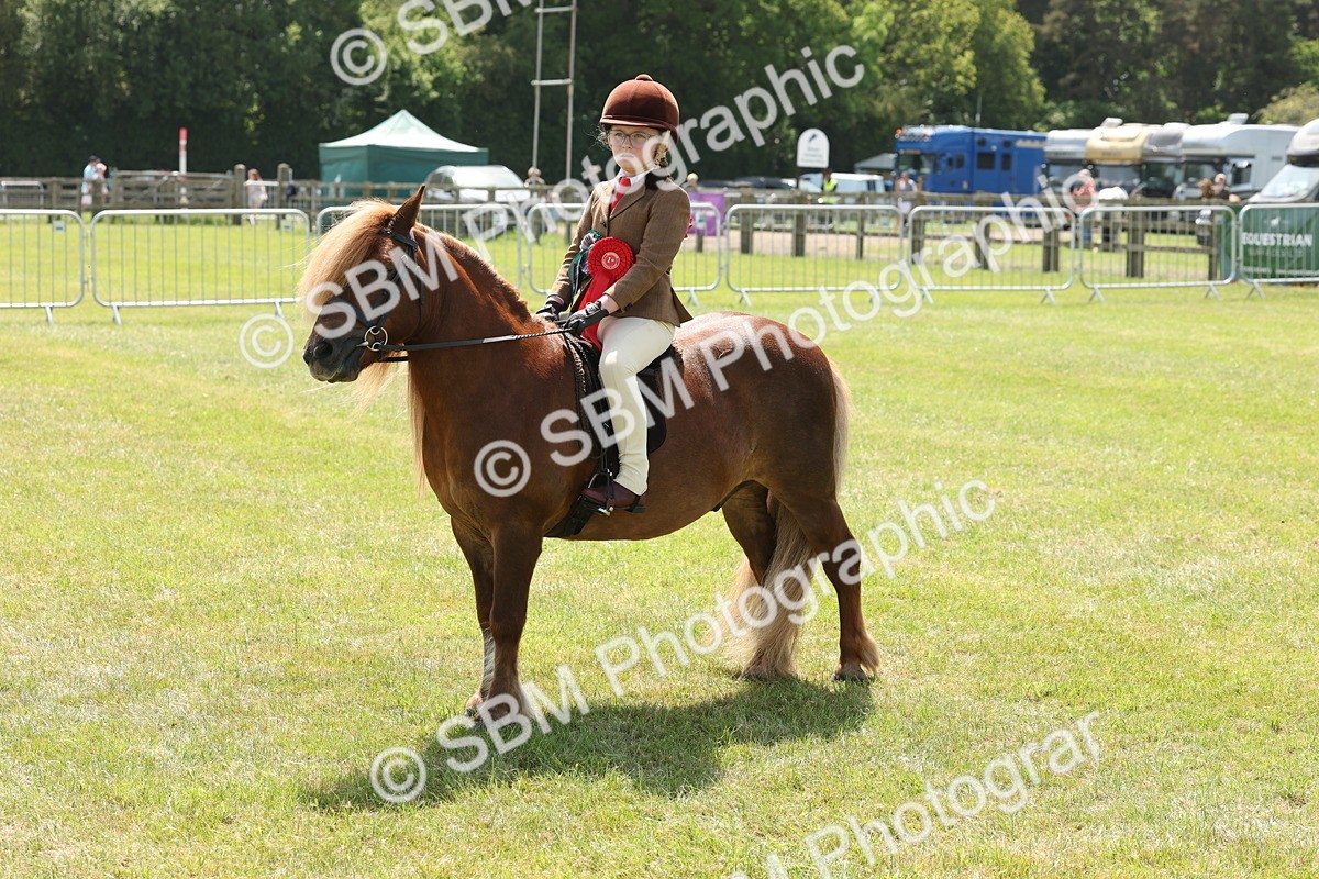 SBM_05366 - Class 24-25 - Mountain & Moorland In Hand Lead Rein and First Ridden
