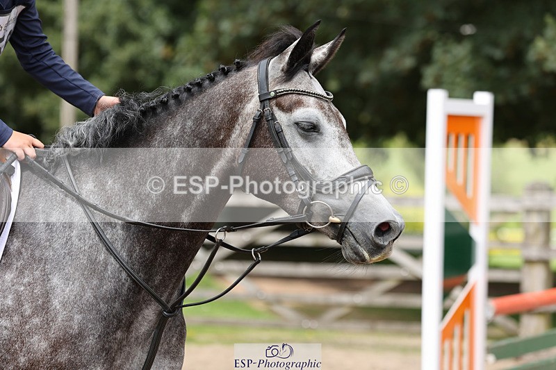 240804-133530-14329 - 556-Sydney_Kedge-UNNAMED_(818405)