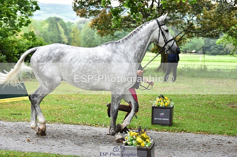 240522-162834-00946 - 208-KING_LOUIS-Mary_King