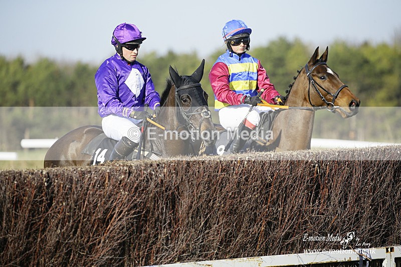 PtP 270222 300 - South & West Wilts Point-to-Point Larkhill 27/02/22