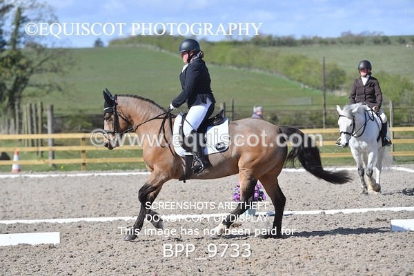 BPP_9733 - MFS PRELIM