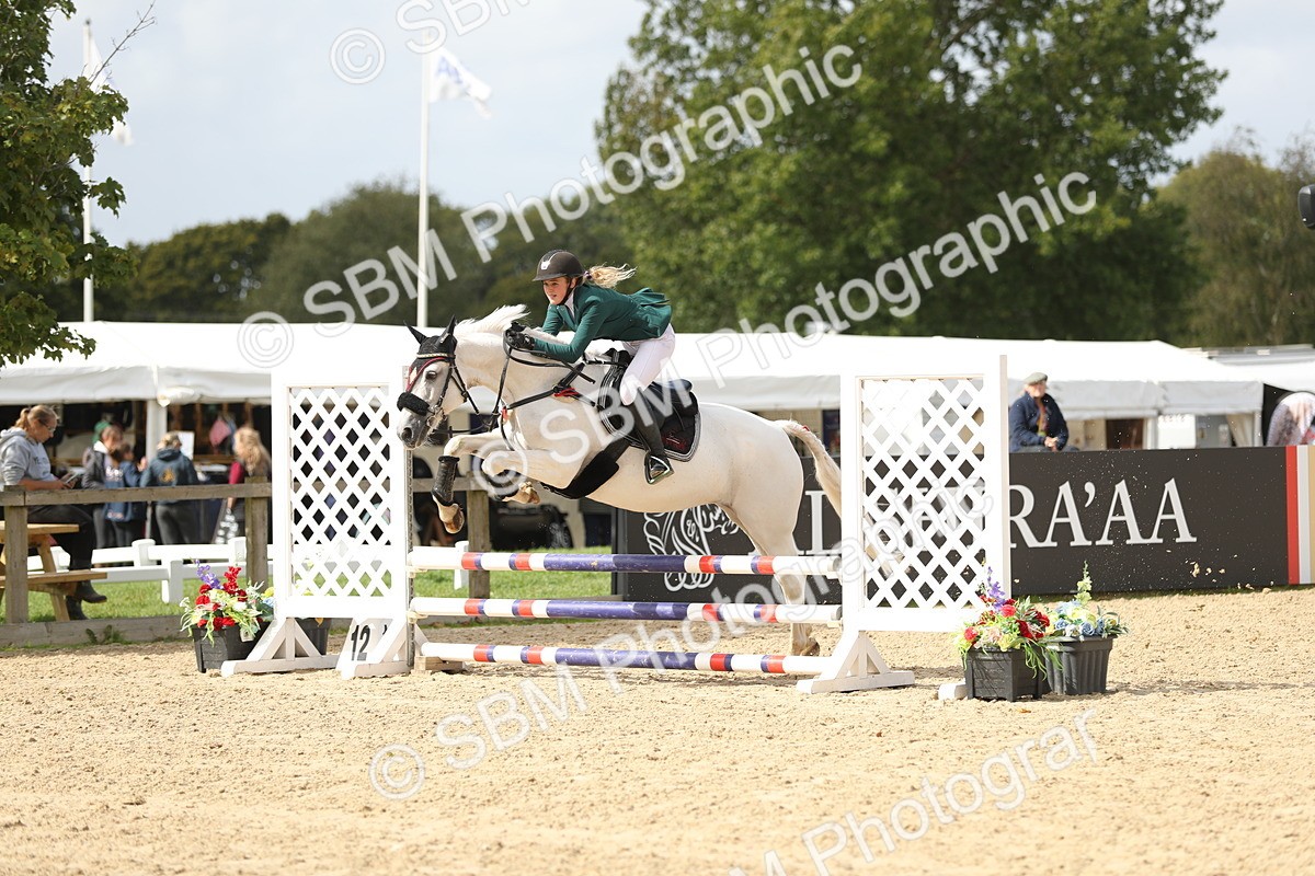 SBM_06394 - J29 - Senior Horse & Pony 65cm Championship