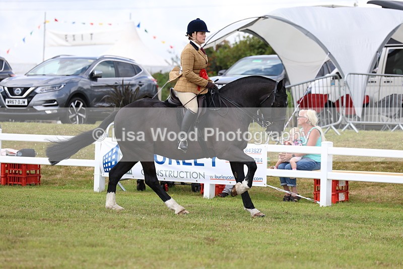 3E7A0516 - Rising Star Ridden Championship