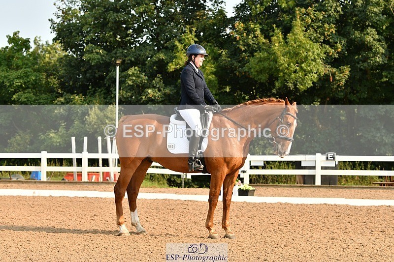 250817-090203-06737 - 080-Elizabeth.StoneZiggy