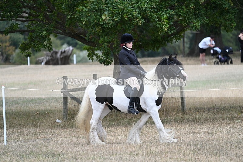 WJ7_4276 - Class 11 Family Mount