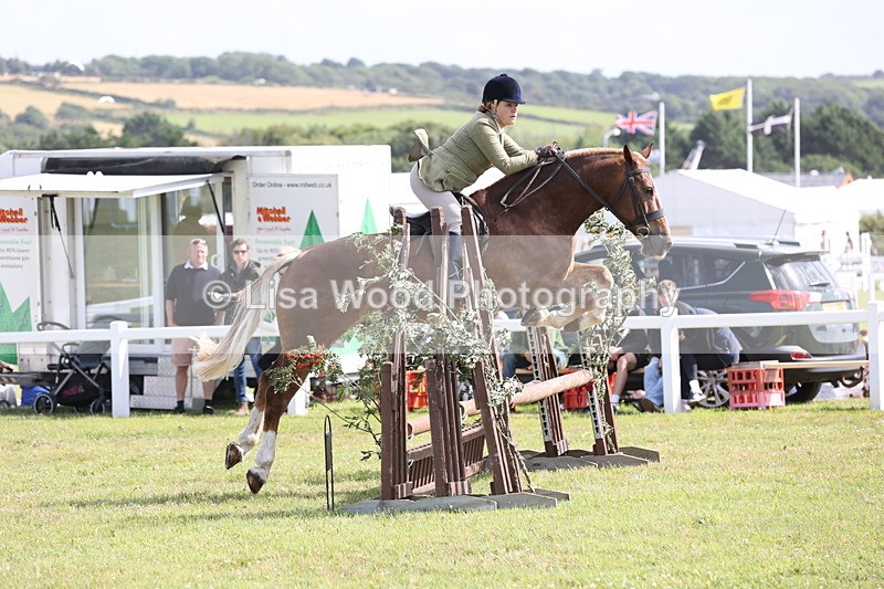 JPP_2534 - Class 20: Working Hunter 70cm