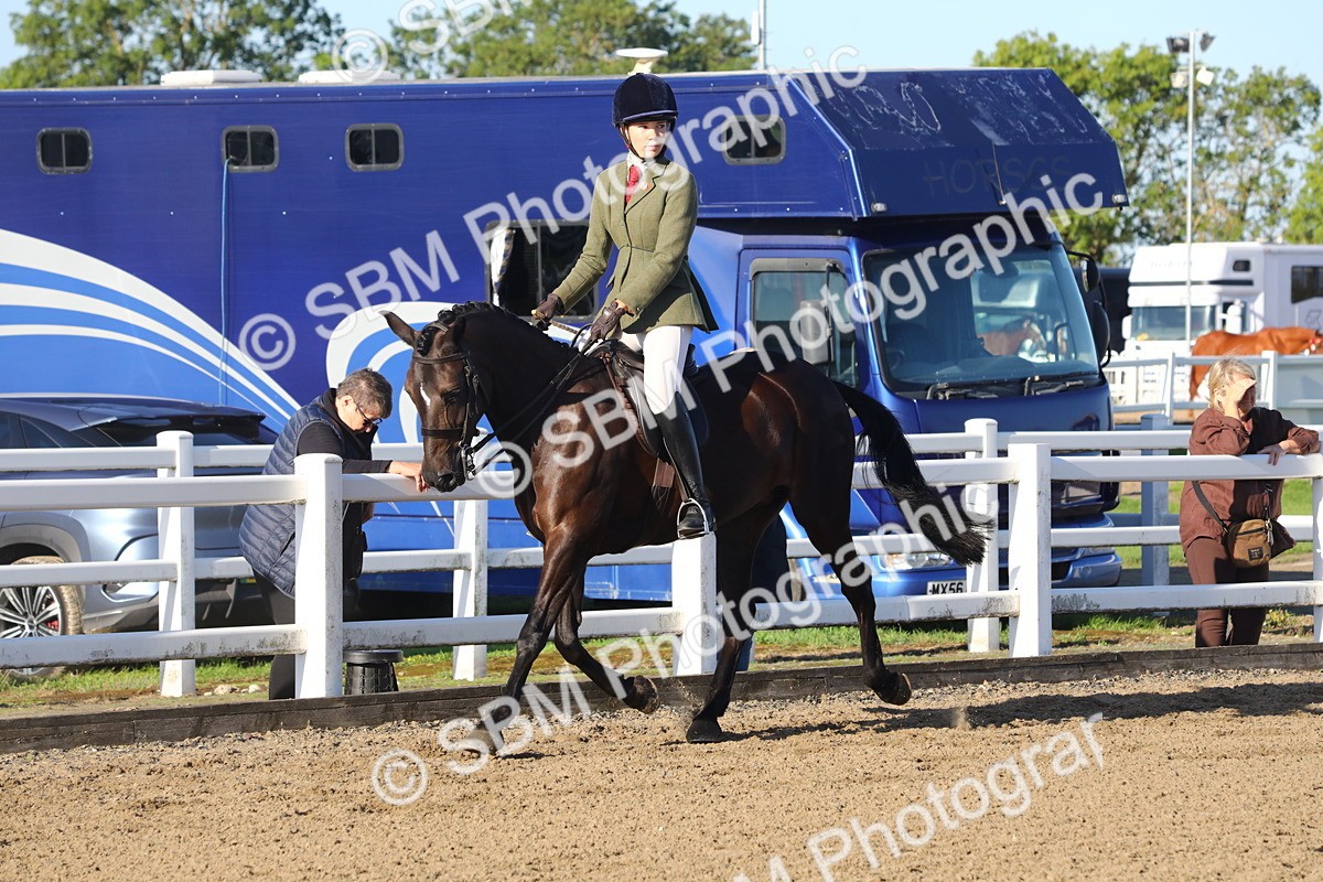 SBM_07880 - Class 501 - Riding Club Pony