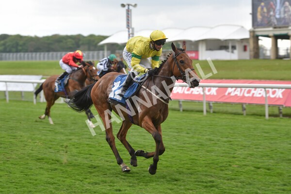 yr14052021r5-38 - Race 5 3.40pm The Jigsaw Sports Branding Handicap