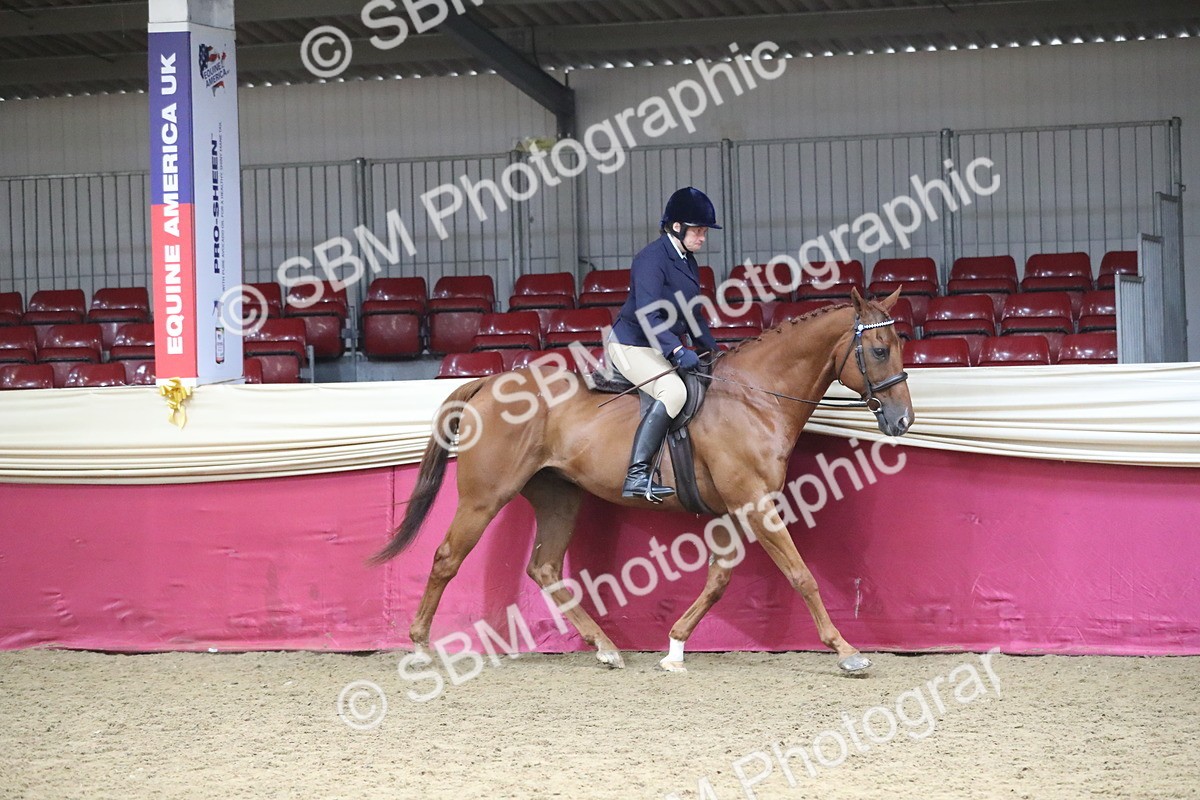 SBM_12295 - Class 108 Ridden Retired Racehorse- Pre Judging