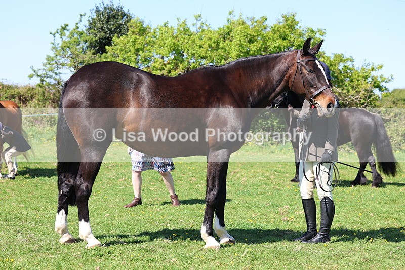 3E7A9836 - Class 17: Young Handler