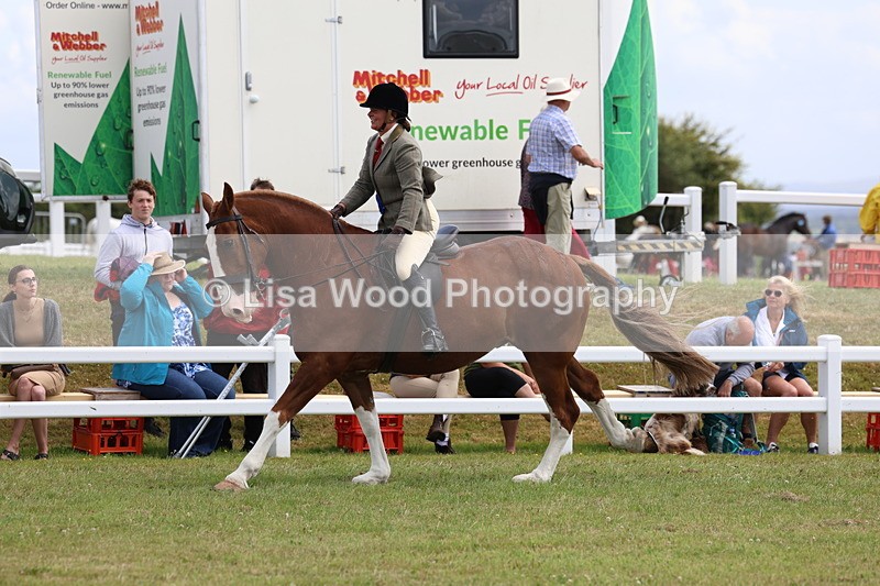 3E7A0602 - Rising Star Ridden Championship