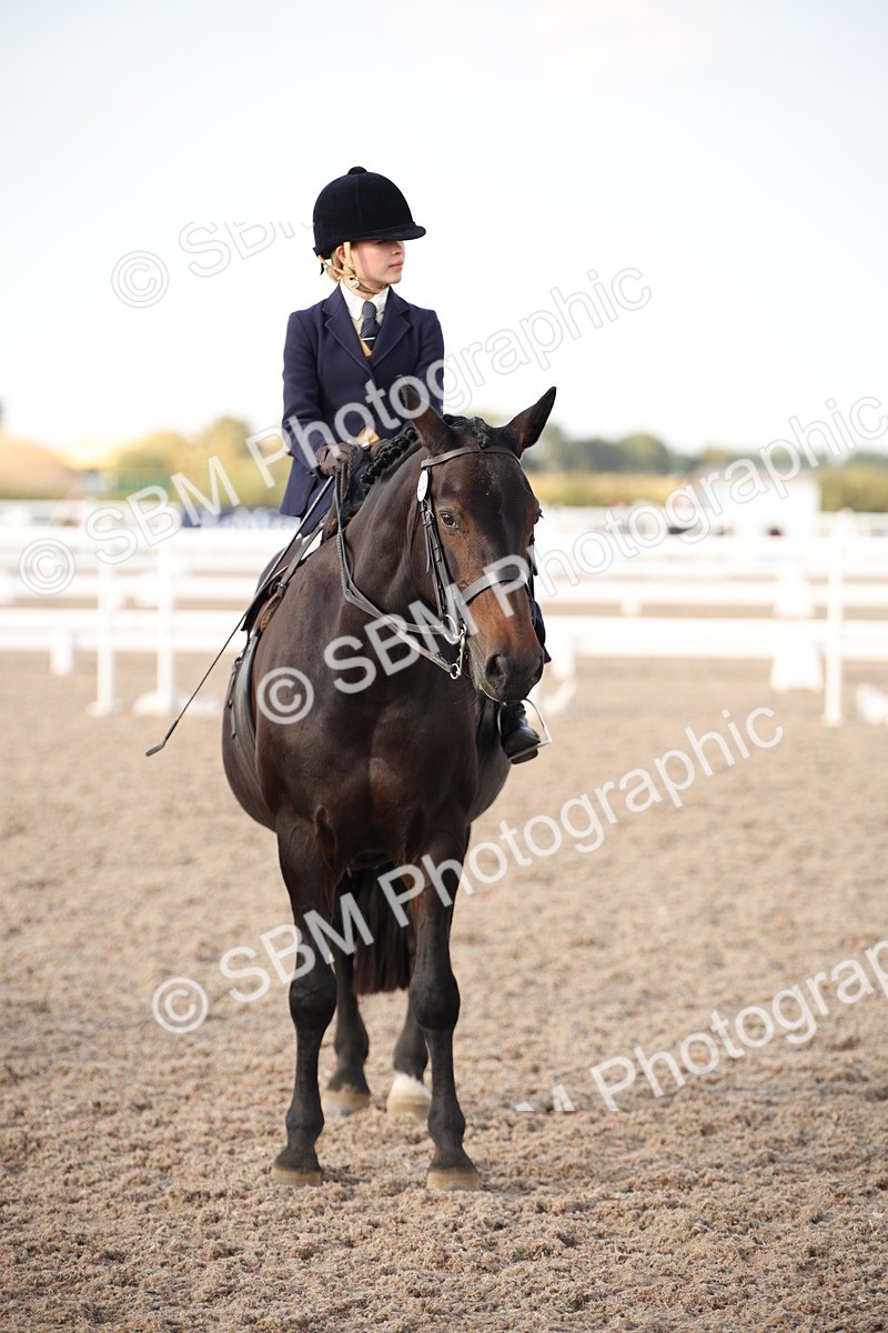 SBM_09207 - Regional Ridden Champ
