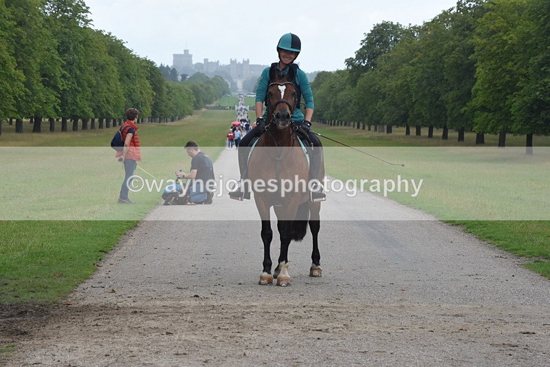 TT3_0169 - Time at Crossing 13:17 to 14:48