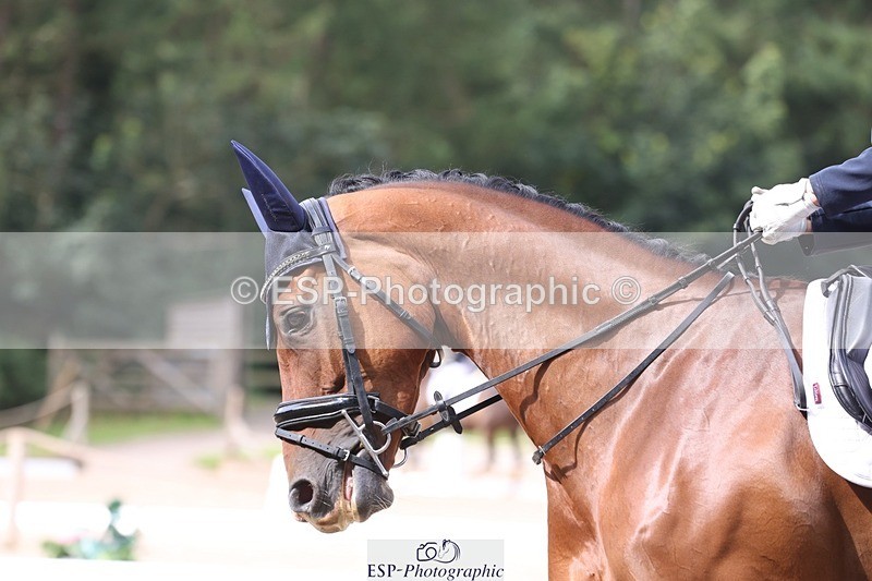 230812-104447-03338 - Cls 5 Novice Bronze Start to 10.55 break