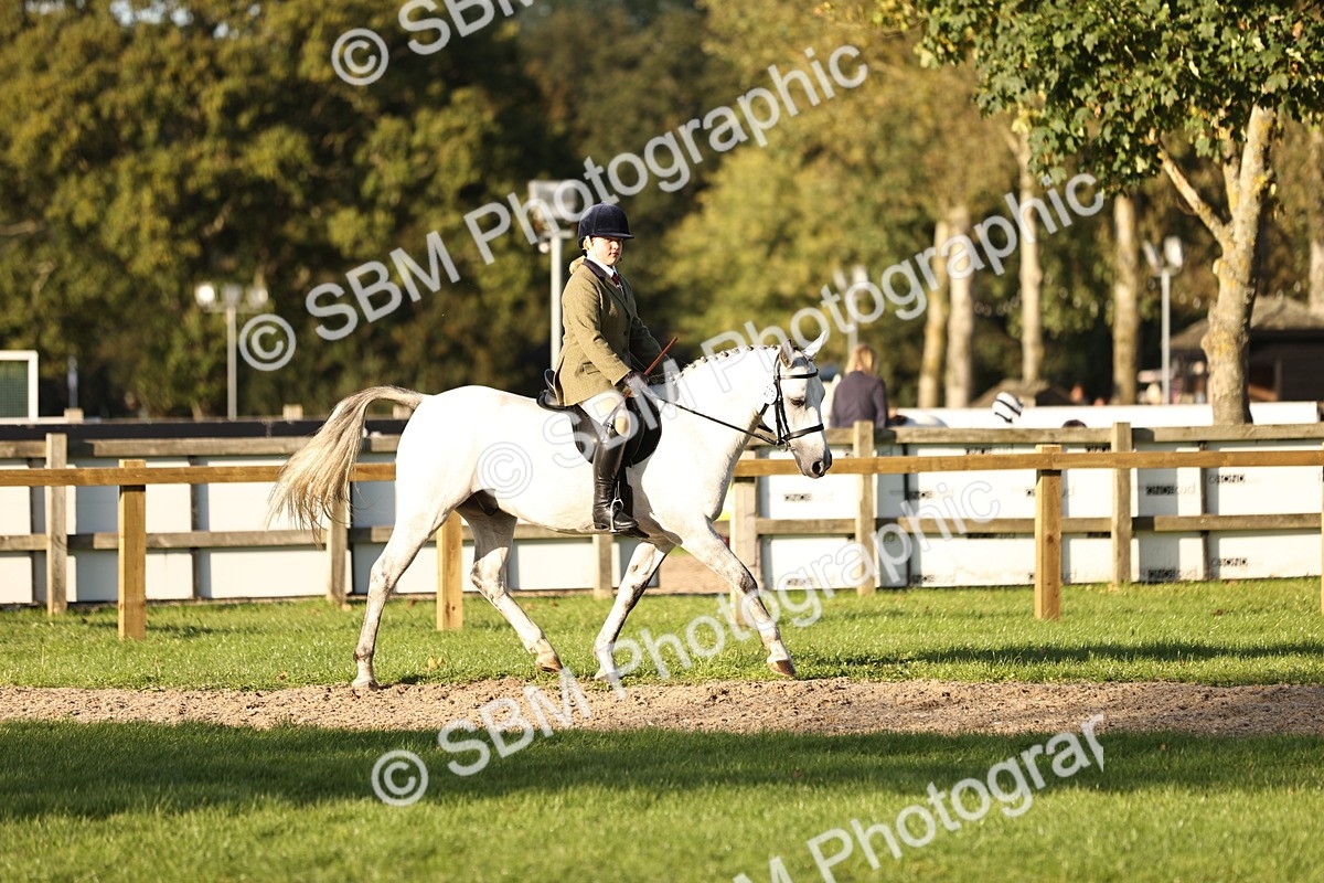 SBM_29591 - S7 - Novice & Newcomers Ridden Pony