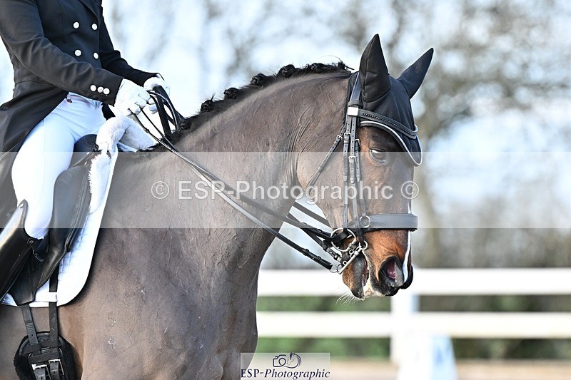 241214-145656-03017 - 160-Shelly.Smit-Sharp.Sharp