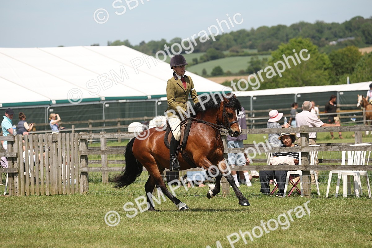 SBM_06921 - Class 26-30 - Mountain and Moorland Ridden