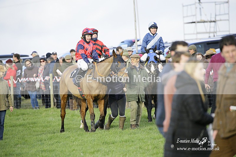 PtP 300122 582 - South Dorset Hunt - Point-to-Point Races 30/01/2022